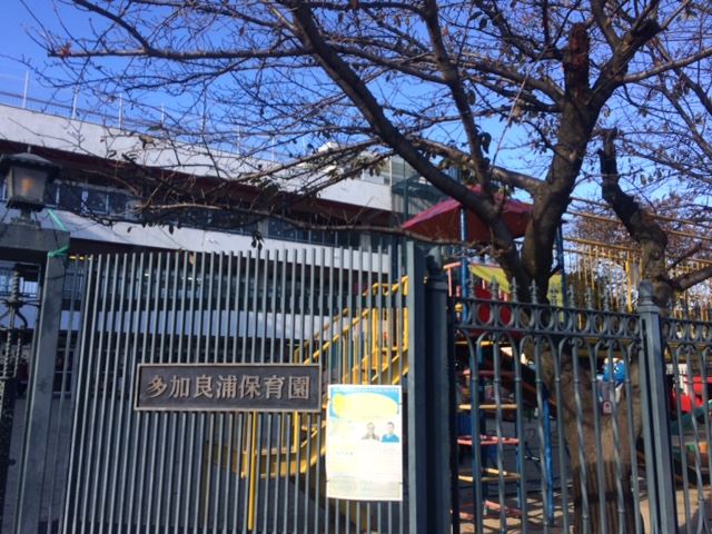 幼稚園・保育園　多加良浦保育園（幼稚園・保育園）まで600m