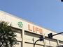 スーパー　ライフ高井田店（スーパー）まで551m