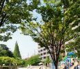 公園　桃ケ池公園（公園）まで600m