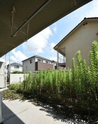 庭