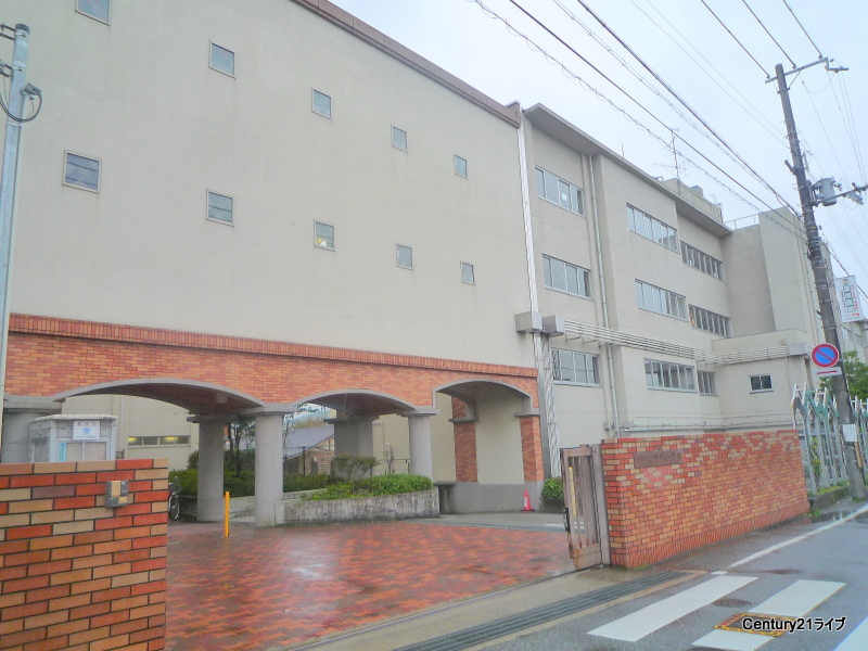 小学校　宝塚市立宝塚小学校（小学校）まで562m
