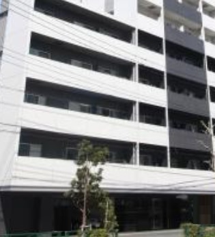 建物外観　高級分譲タイプ