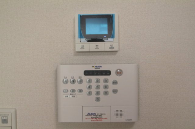 Brown Tabbyのその他写真