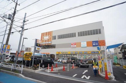 Brown Tabbyの周辺写真