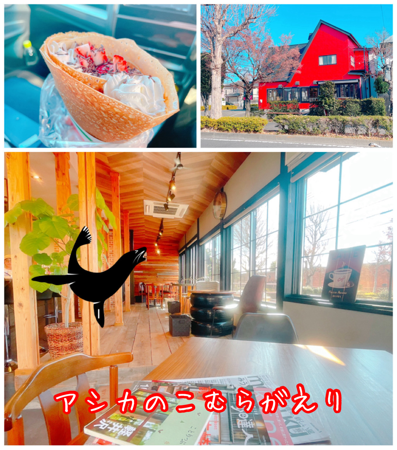 飲食店　アシカのこむらがえり　南町（飲食店）まで710m