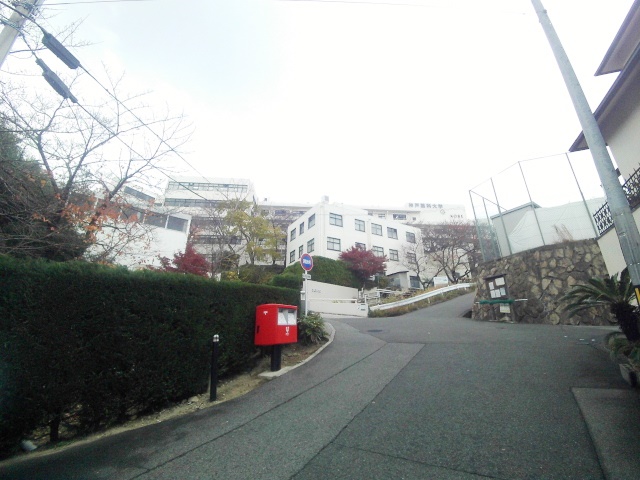 大学・短大　私立神戸薬科大学（大学・短大）まで1305m