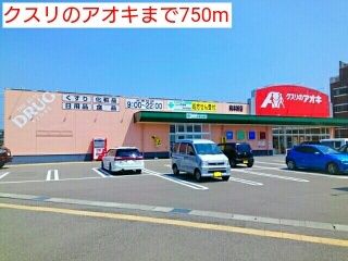 【小松市育成町のアパートのドラックストア】