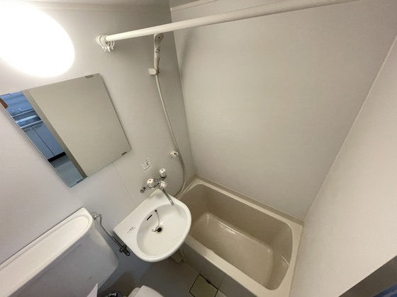 バス・シャワールーム　※別部屋の写真です