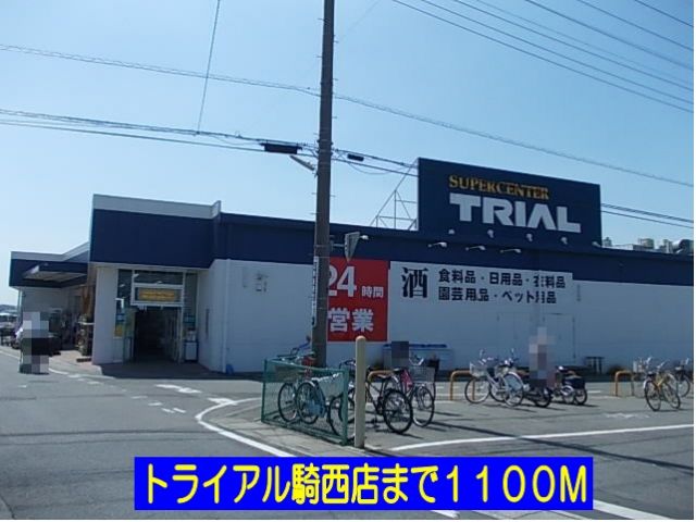 スーパー　トライアル騎西店（スーパー）まで1100m