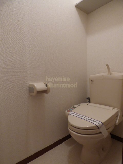 トイレ　写真は反転　別号室