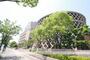 大学・短大　県立広島大学広島キャンパス（大学・短大）まで367m
