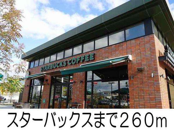 飲食店　ッスターバックス（飲食店）まで260m