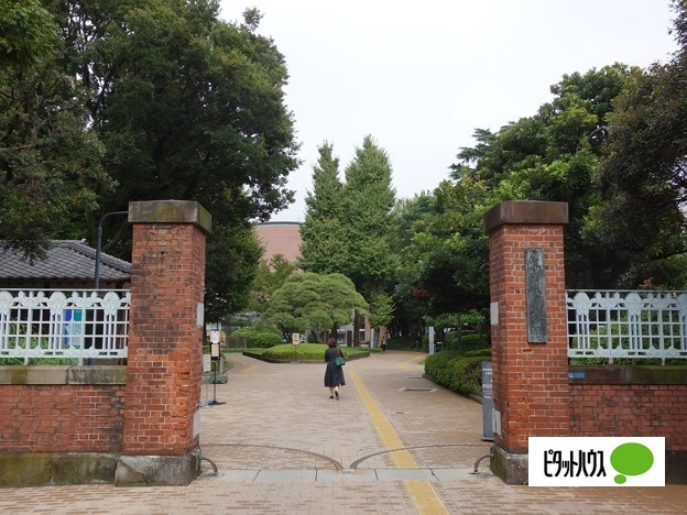 大学・短大　国立東京芸術大学（大学・短大）まで429m