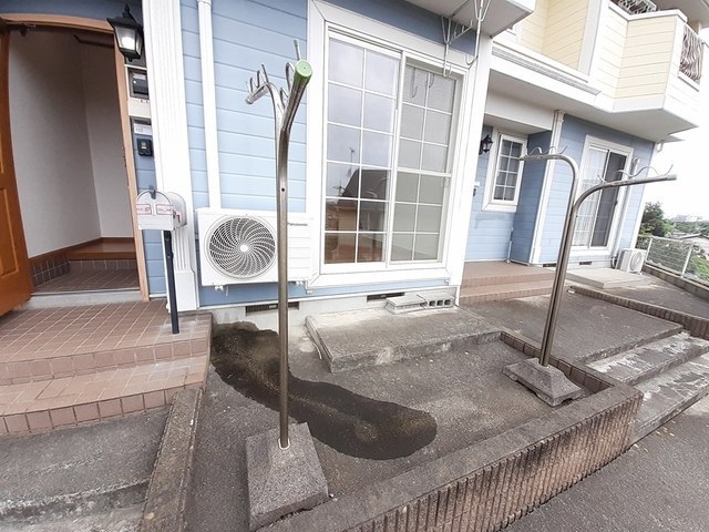 庭