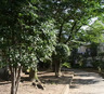 公園　堀船緑地（公園）まで782m