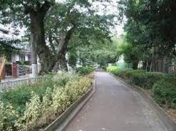 公園　蛇崩川支流緑道（公園）まで427m