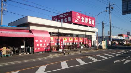スーパー　マルコー生鮮市場 稲荷店（スーパー）まで864m