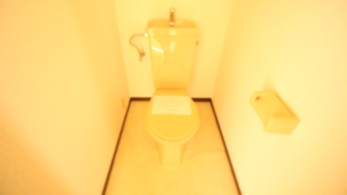 ラ・モードNISHIKAWAIのトイレ写真