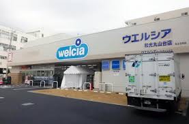 ドラックストア　ウエルシア和光丸山台店（ドラッグストア）まで1139m