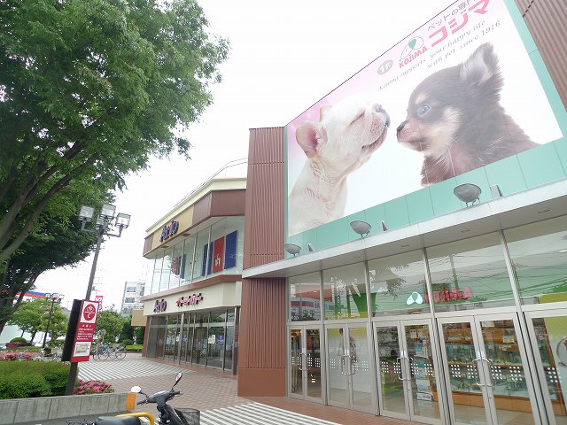 スーパー　イトーヨーカドーアリオ深谷店（スーパー）まで790m