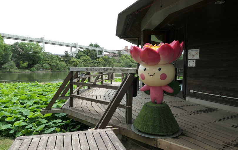 その他　千葉公園スポーツ施設・屋外プール（その他）まで738m