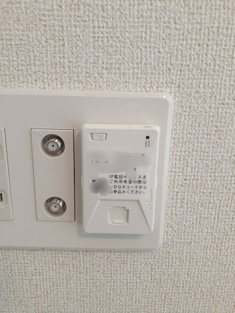 アヴェクトワのその他写真