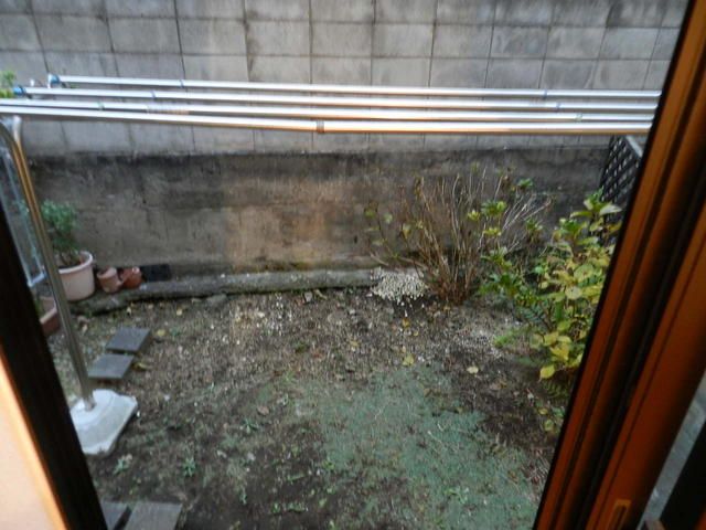 庭