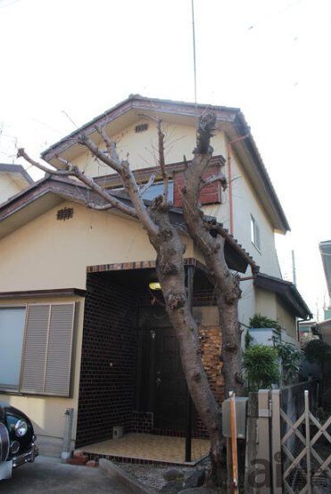 関貸家の建物外観