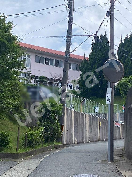 幼稚園・保育園　聖母園（幼稚園・保育園）まで148m