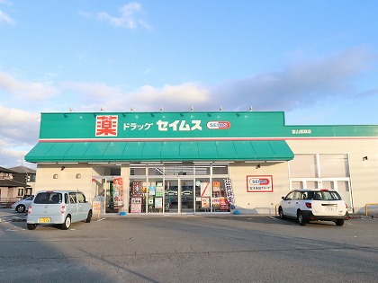 ドラックストア　SEIMS（ドラッグストア）まで848m