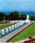 公園　須磨離宮公園（公園）まで603m