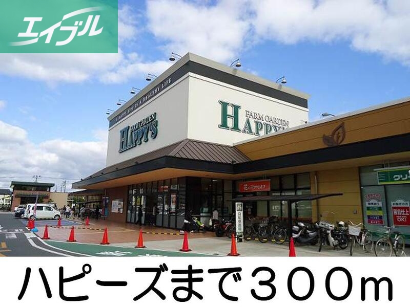 その他　ハピーズ（その他）まで300m