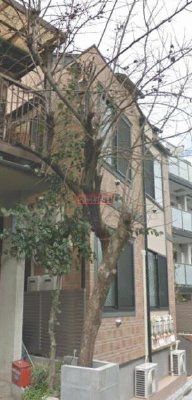 建物外観　エントランス