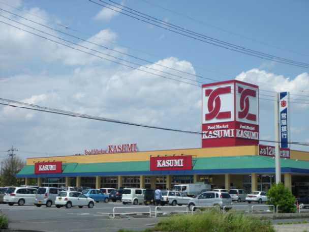 その他　カスミ那珂店まで800ｍ