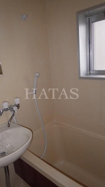 バス・シャワールーム　同物件別部屋です