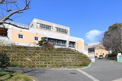 小学校　港が丘小学校（小学校）まで600m
