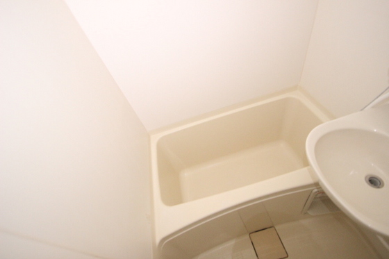 バス・シャワールーム　※別部屋の写真です