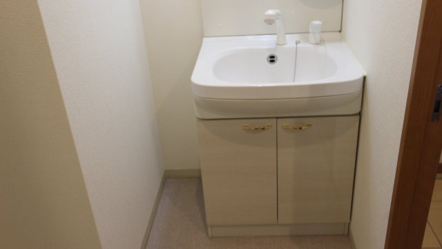 洗面設備　同物件、別号室のものです。