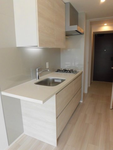 キッチン　ザ・パークハビオ西大井　※反転タイプ