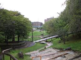 公園　清水坂公園（公園）まで705m