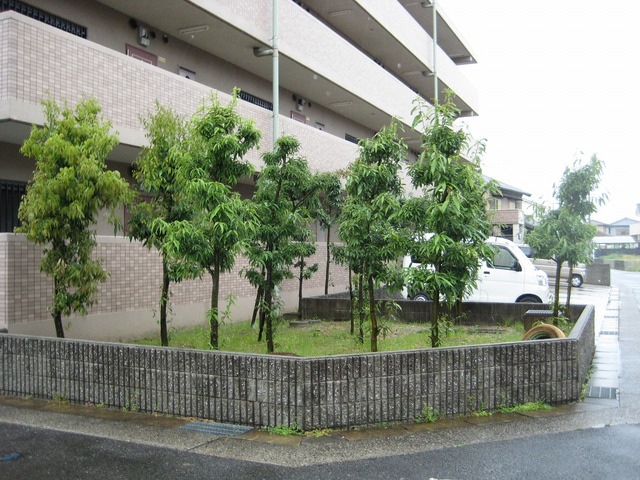 庭　お庭も活用できます