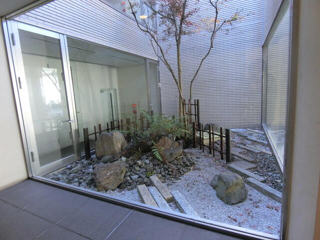 庭　2025年12月撮影