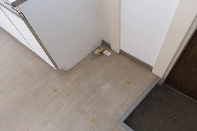 その他設備　室内洗濯機置場