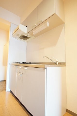 キッチン　料理が好きな方におすすめの「２口ガスシステムキッチン」