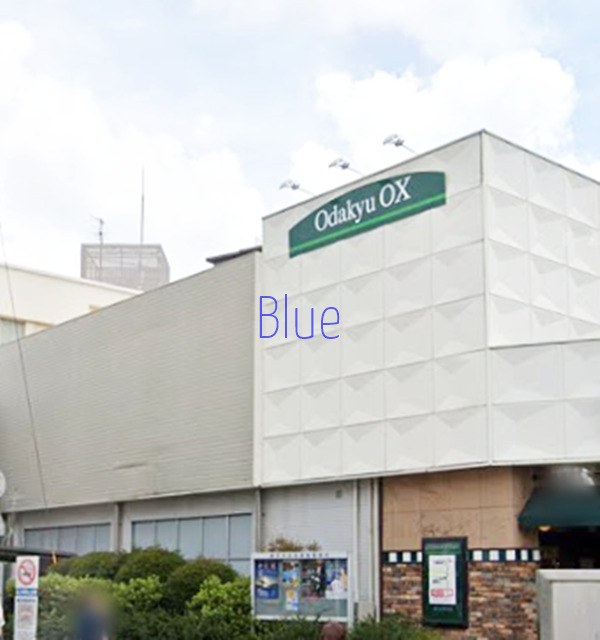 スーパー　Odakyu OX（スーパー）まで814m