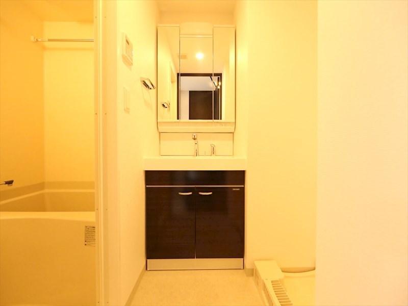 洗面設備　脱衣所　独立洗面台（シャンプードレッサー付）収納スペース有