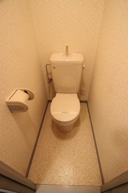 トイレ　同物件別号室のものです。