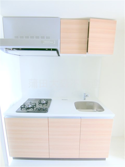 キッチン　調理スペース広めの大きめ2口ガスシステムキッチン