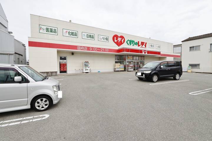 ドラックストア　くすりのレディ国府店（ドラッグストア）まで499m