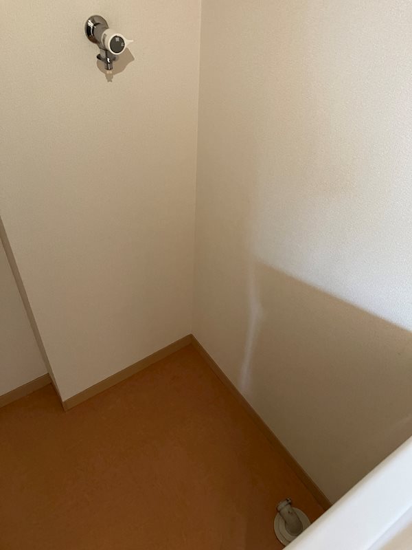 ベルホワイトのその他写真